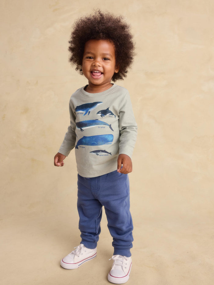Easy Baby Joggers