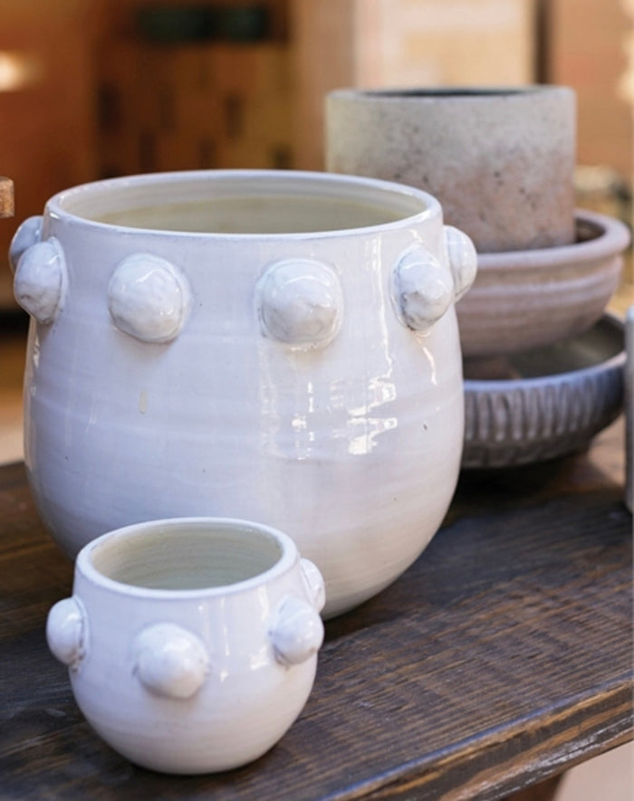 Fem Rosa Planter Pottery
