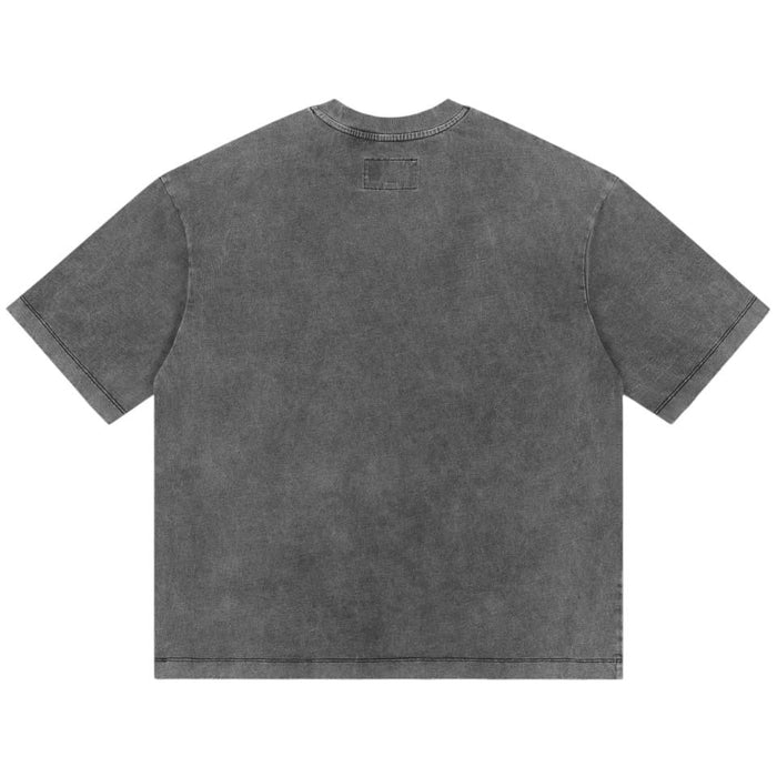 Sphinx Guardian Grey Wash NG T-shirt