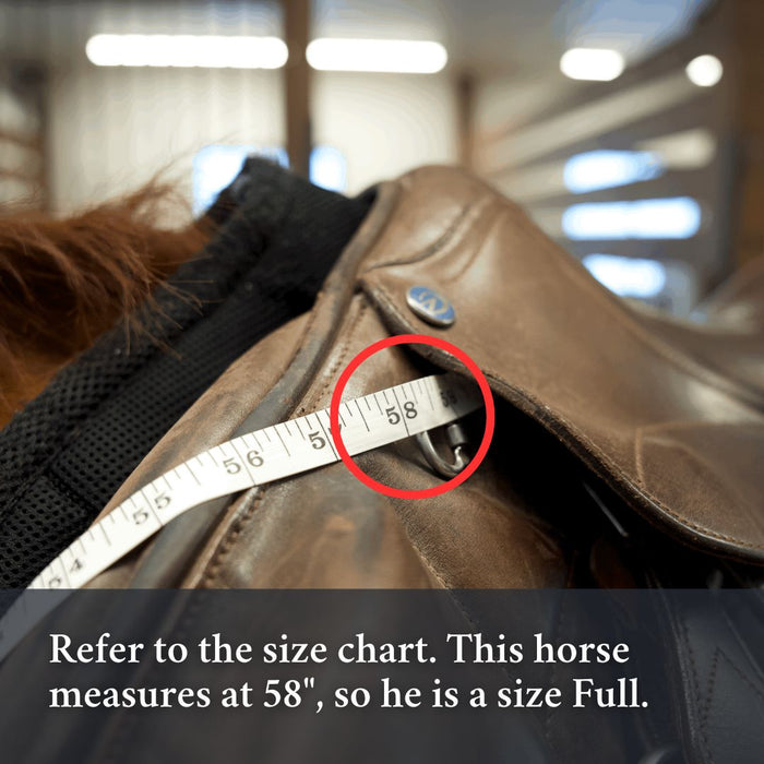 3-in-1 Training Breastplate