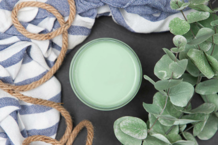 Mint Julep