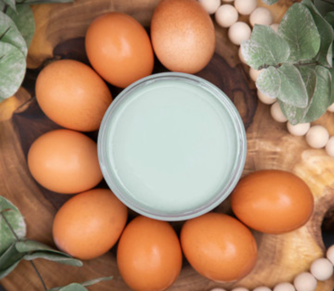 Vintage Duck Egg