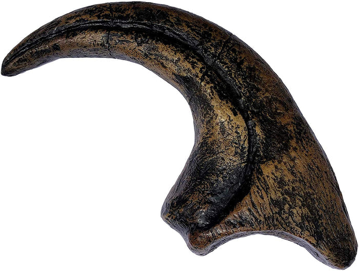 Allosaurus Fragilis Dinosaurs Claw Replica - 11.5" Museum Quality Replica - dinosaursrocksuperstore