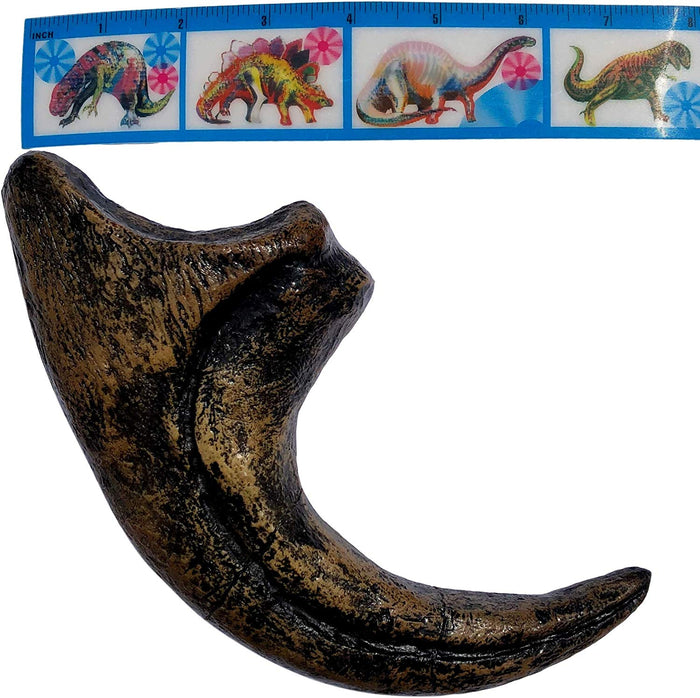 Allosaurus Fragilis Dinosaurs Claw Replica - 11.5" Museum Quality Replica - dinosaursrocksuperstore