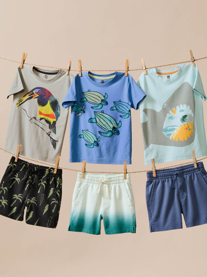 Aracari Bird Graphic Tee