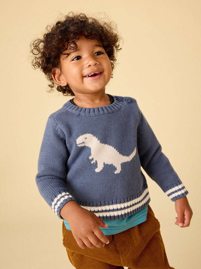 Baby Dino Sweater