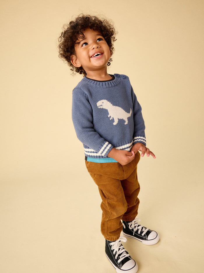 Baby Dino Sweater