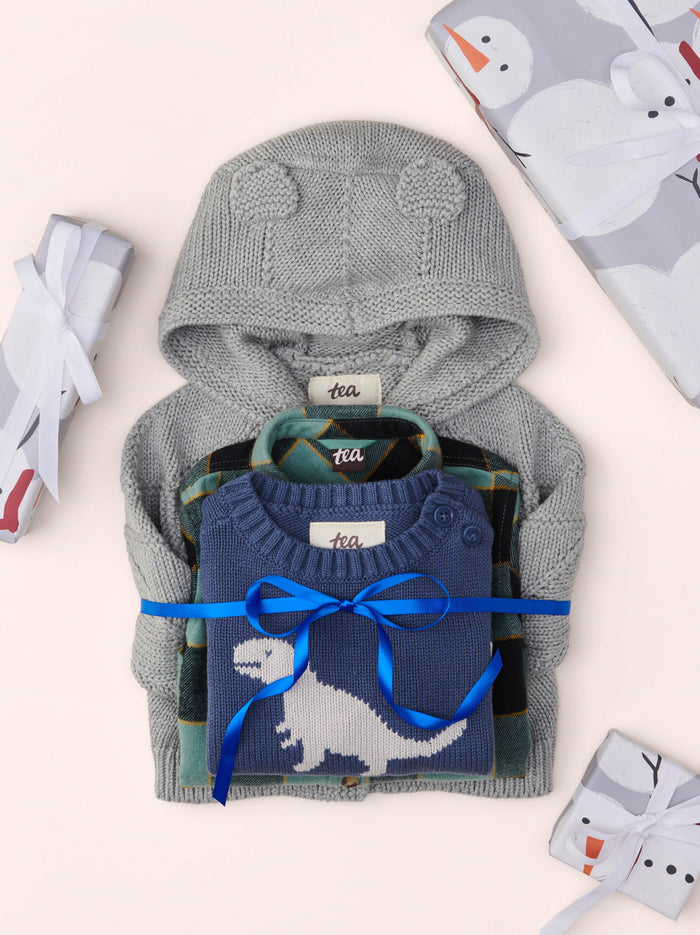 Baby Dino Sweater