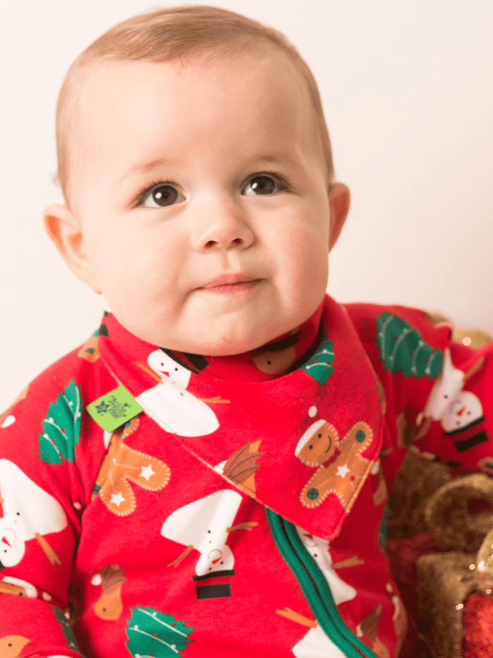 Bibs Bundle - Blade & Rose UK