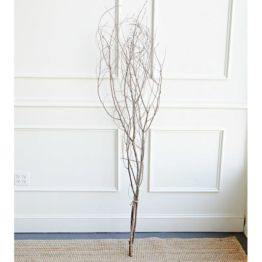 Birch Branch Bunch