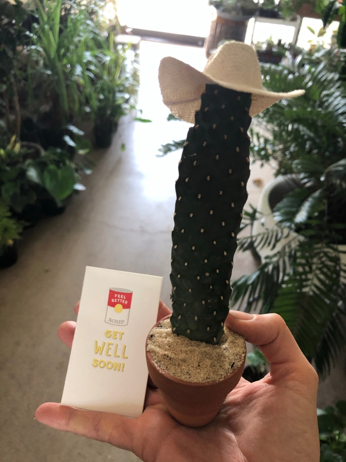 Cacti Hats Cowboy Cactus Hat Accessory