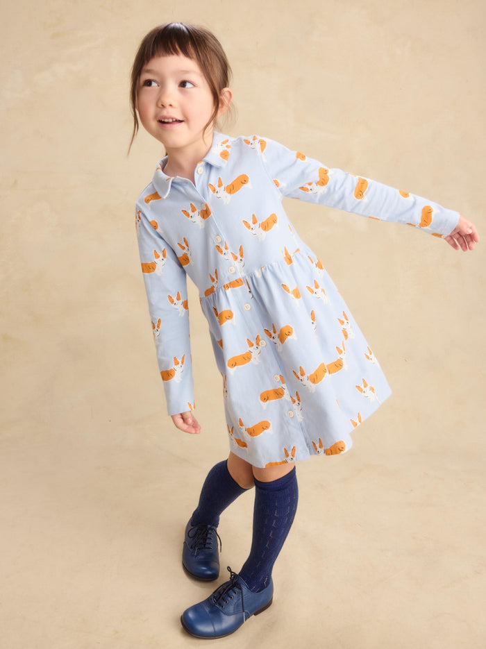 Collared Long Sleeve Shirtdress