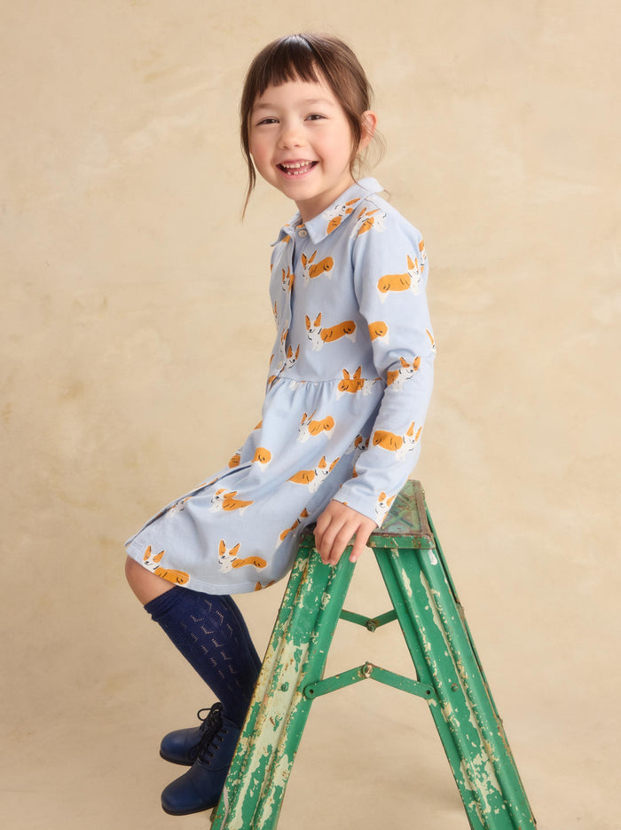Collared Long Sleeve Shirtdress