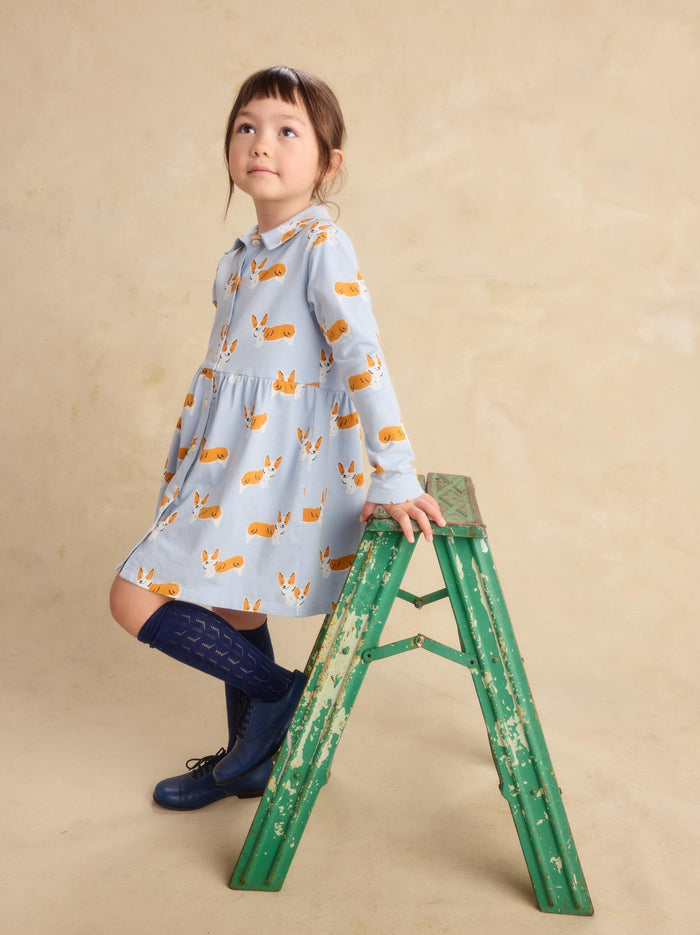 Collared Long Sleeve Shirtdress