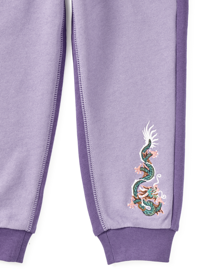 Colorblock Dragon Joggers