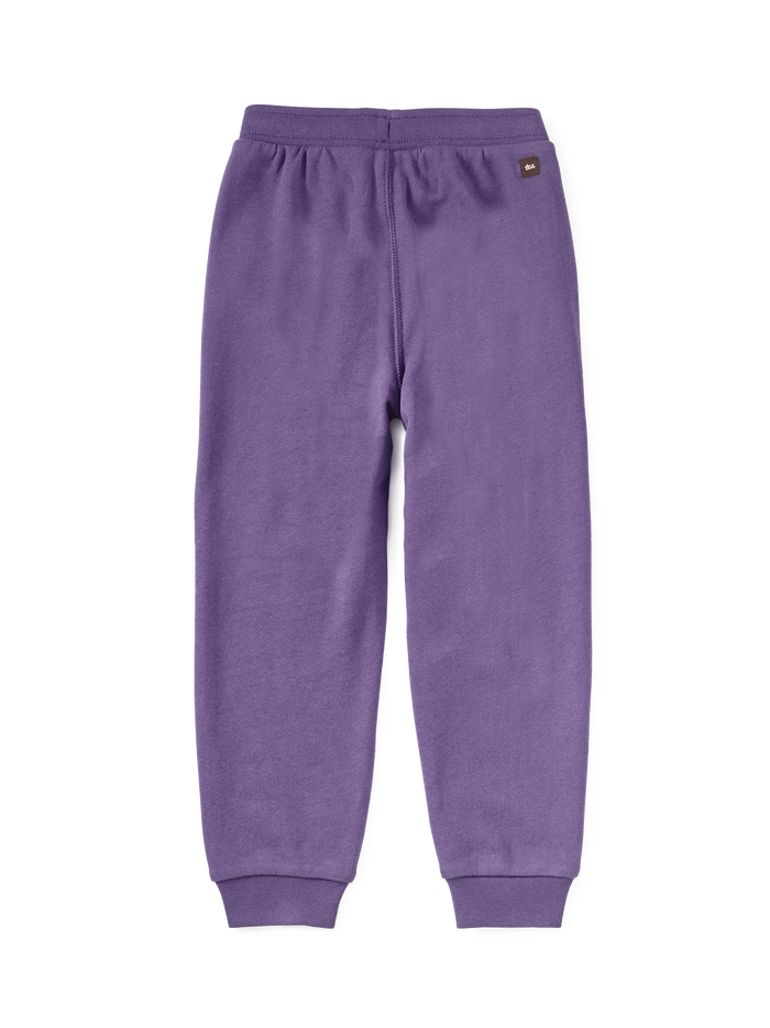 Colorblock Dragon Joggers