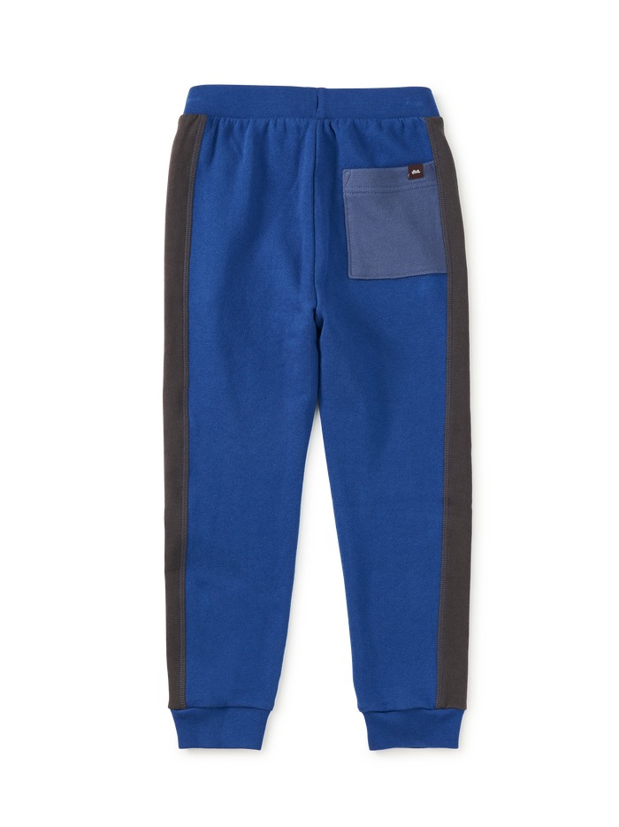 Colorblock Stripe-Out Joggers