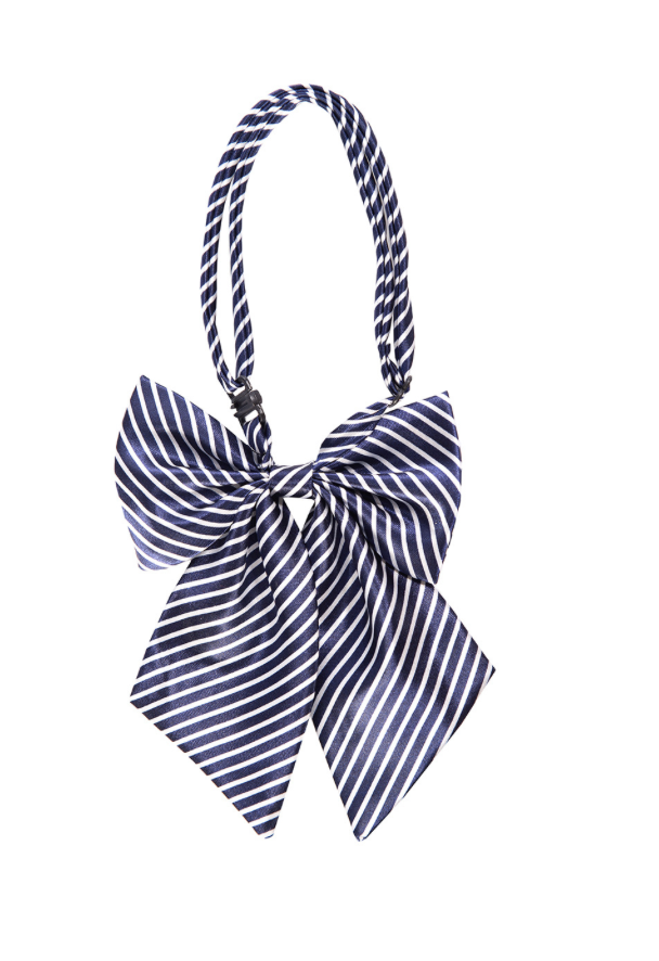 Damen-Fliege( Schleife) Scarlet Tie , Schwarz oder Blau-Weiß Gestreift