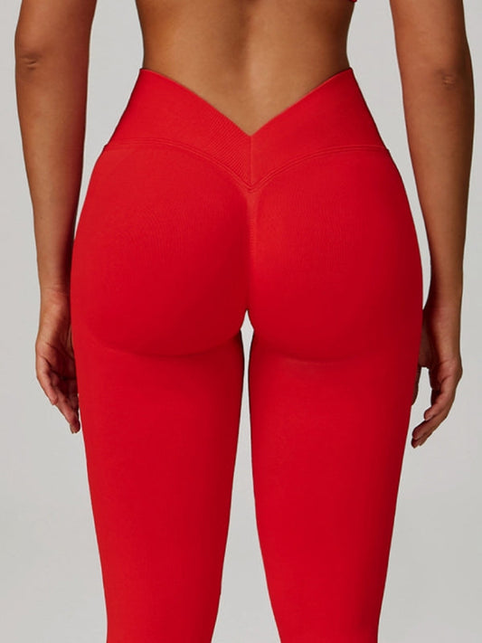 Deep V Back Seamless High-rise Leggings