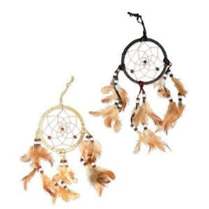 Dream Catcher - dinosaursrocksuperstore