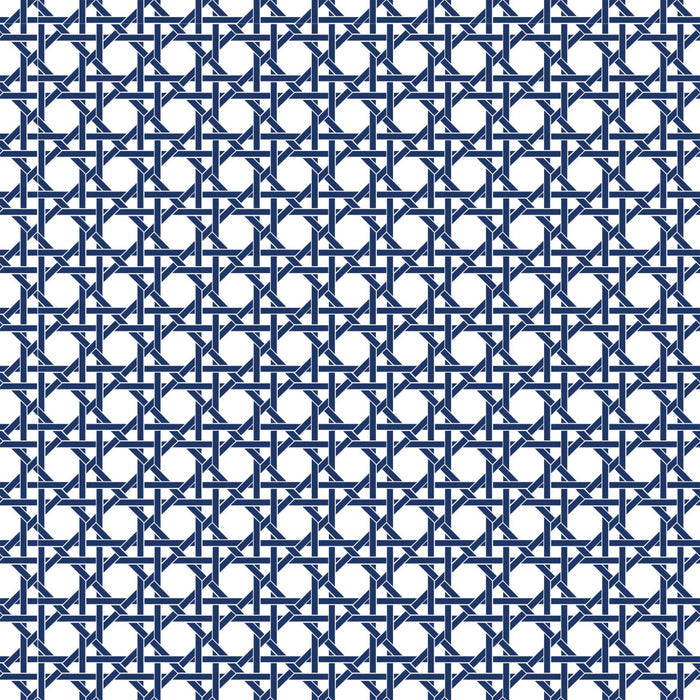 EVERVASE Wrap- Navy and White Cane