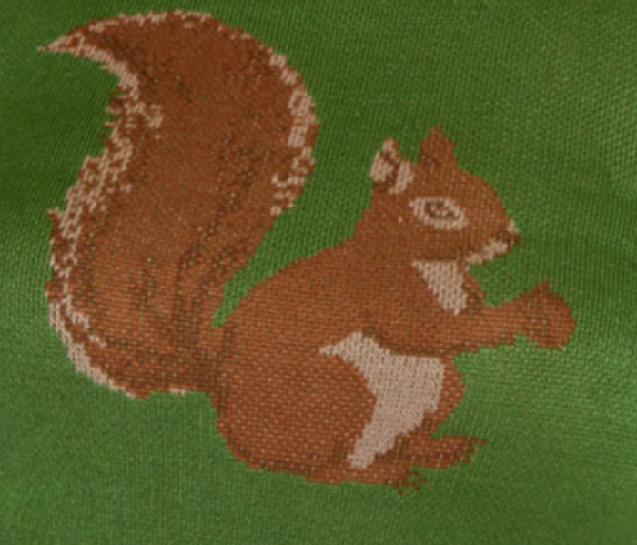 Feinstrick-Pulliover Squirrel mit Eichhörnchenmotiv,Grün, Plus Size