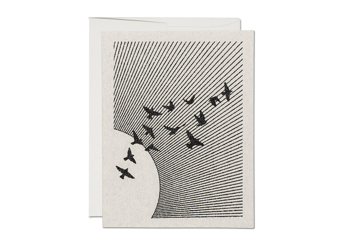 Flock of Birds Greeting Card