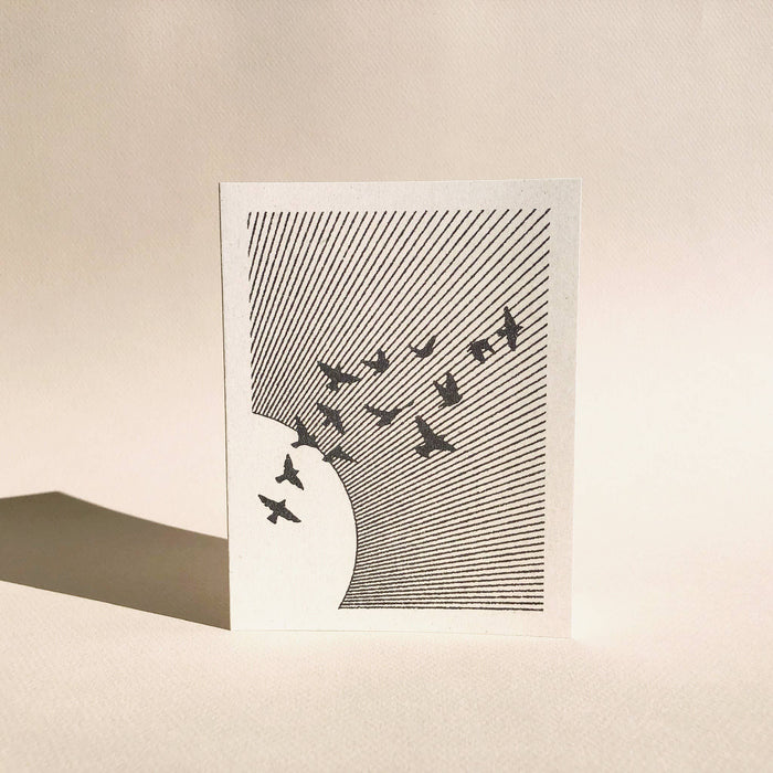 Flock of Birds Greeting Card