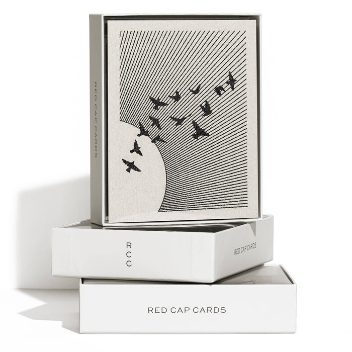 Flock of Birds Greeting Card