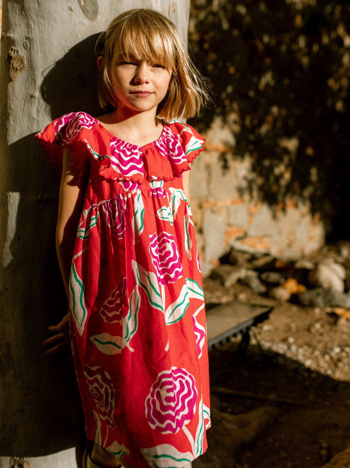 Flutter Sleeve Woven Dress