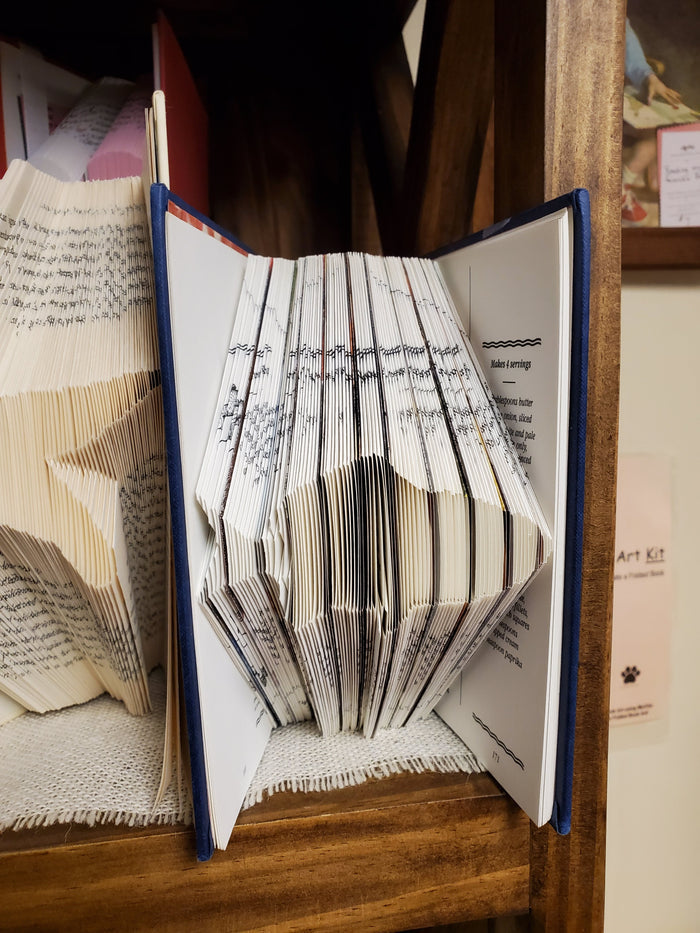 Folded Books