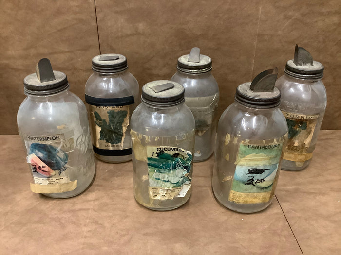 Glass seed jars