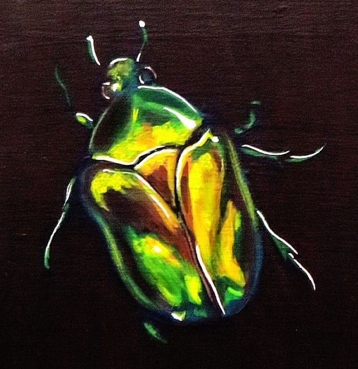 Green Beetle
