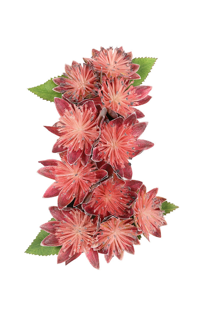 Haarblume Miriam