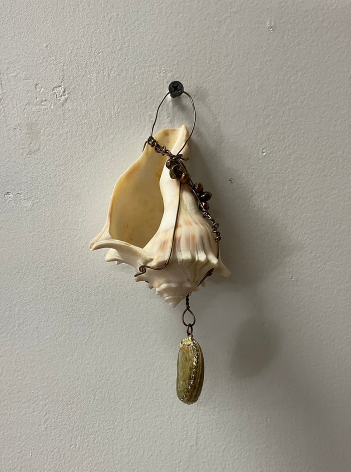 Hanging whelk shell decorated
