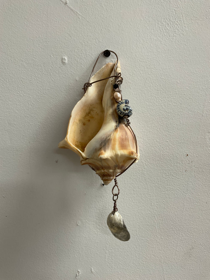 Grey Jingle Shell
