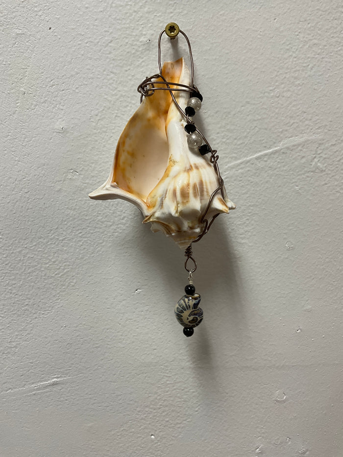 shell tan & brown