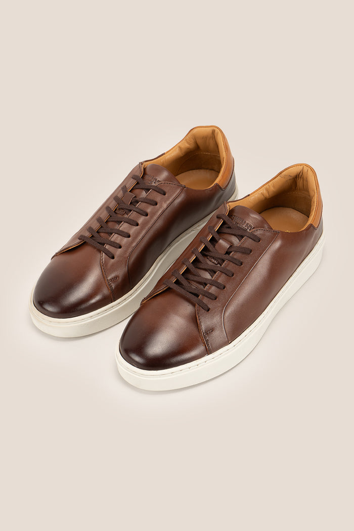 Harris Brown Derby sneakers for men crafted in premium brown leather with lace-up design and comfortable sneaker sole. Stylish men’s leather shoes for daily wear.