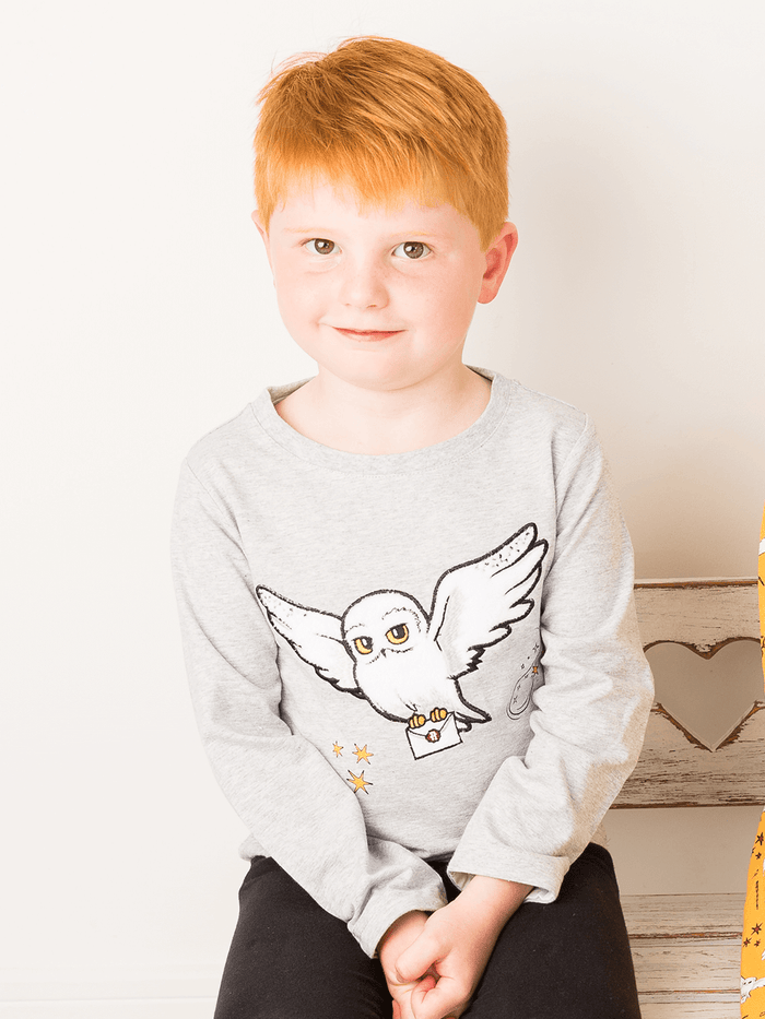 Harry Potter™ Hedwig Top - Blade & Rose UK