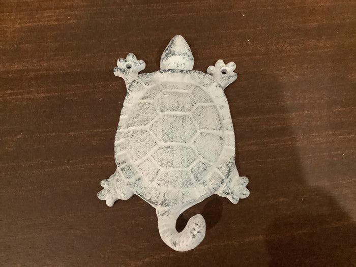 Turtle blue