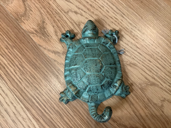 Turtle bronze