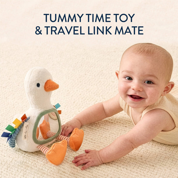 Itzy Ritzy Bitzy Sensory Mirror-Goose