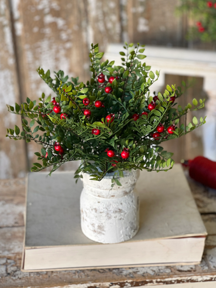 Lively Berry Bough Bush | 16"