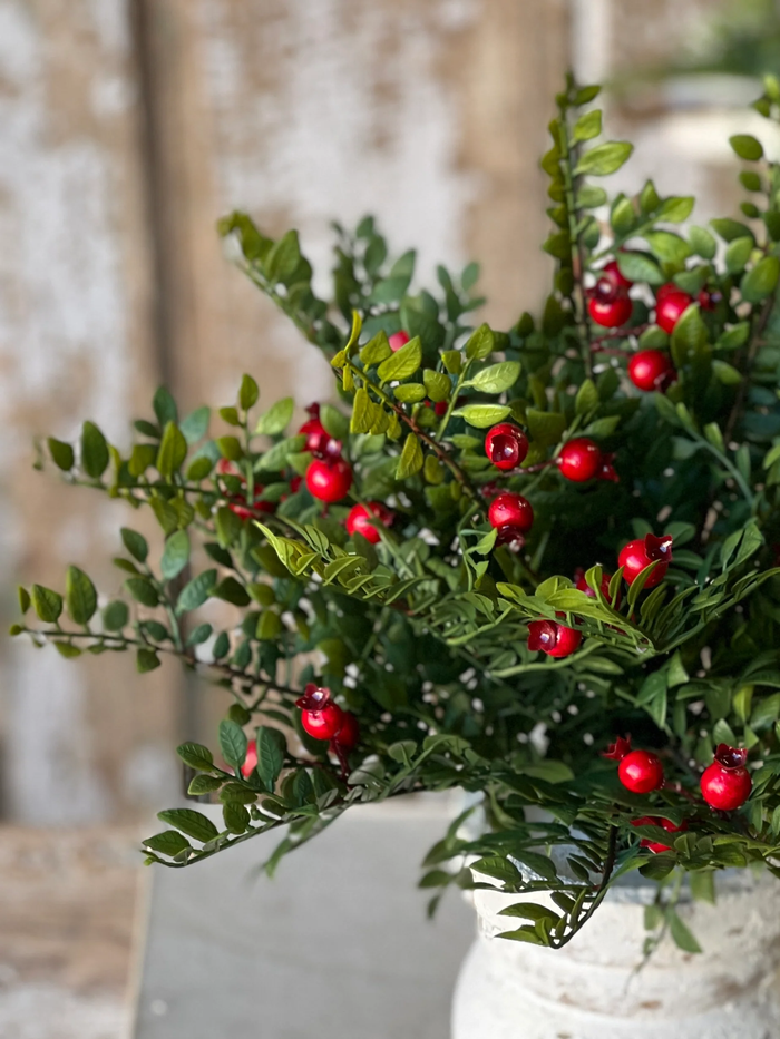 Lively Berry Bough Bush | 16"