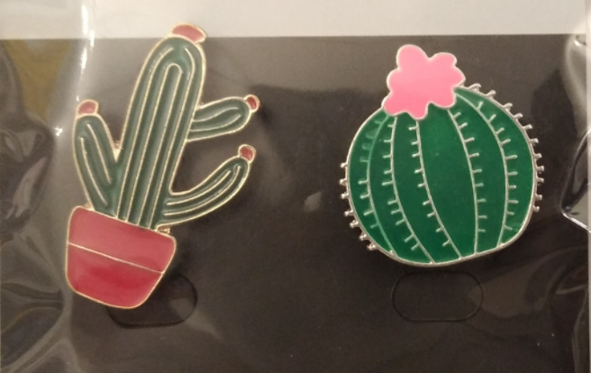Pin Set, Kakteen