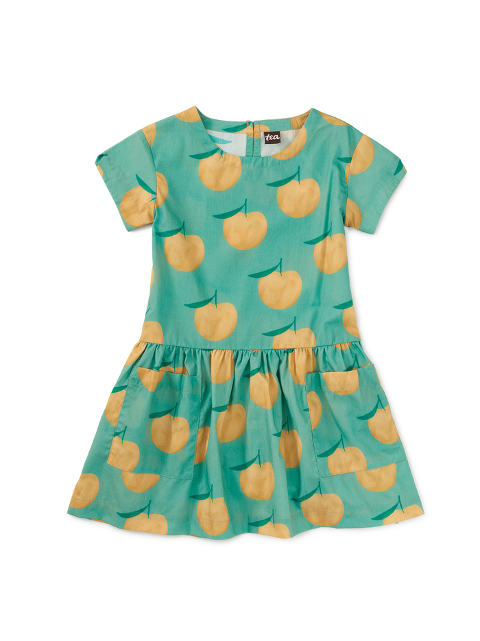 Pocketful Of Fun Dress