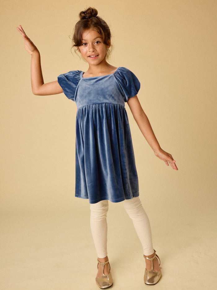 Puff Shoulder Velour Dress