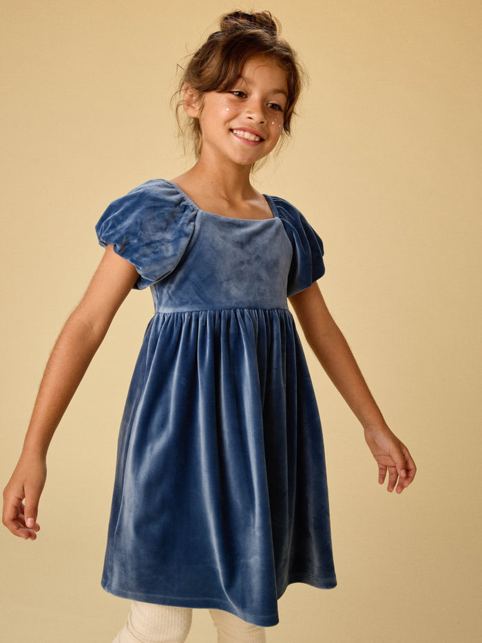 Puff Shoulder Velour Dress