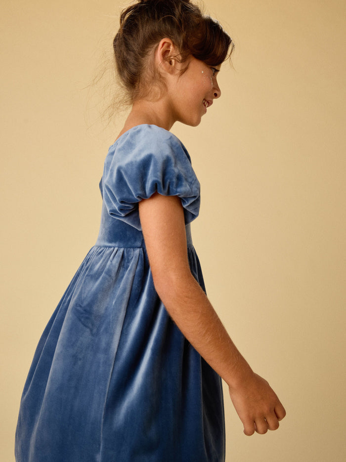 Puff Shoulder Velour Dress