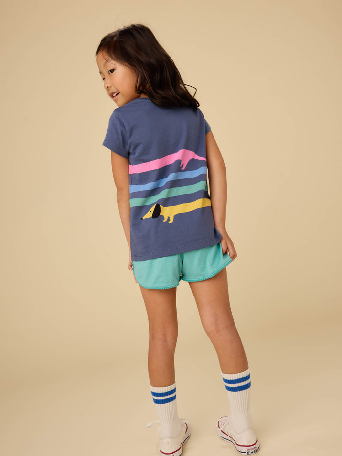 Rainbow Dachsund Graphic Tee